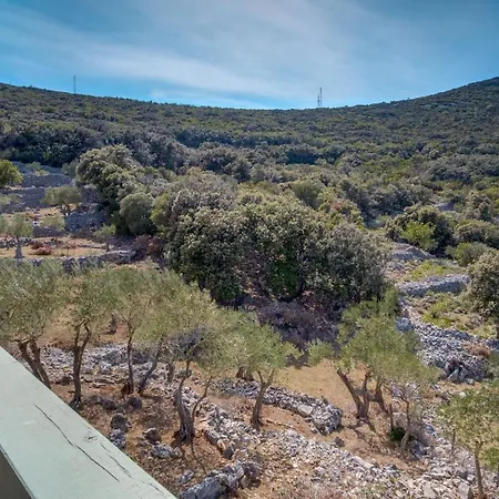 Oliva 펜션 Sveti Jakov